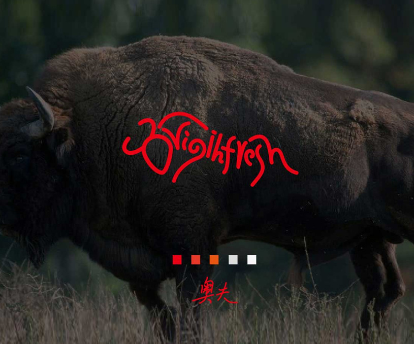 加拿大奥夫奥州牛肉LOGO设计